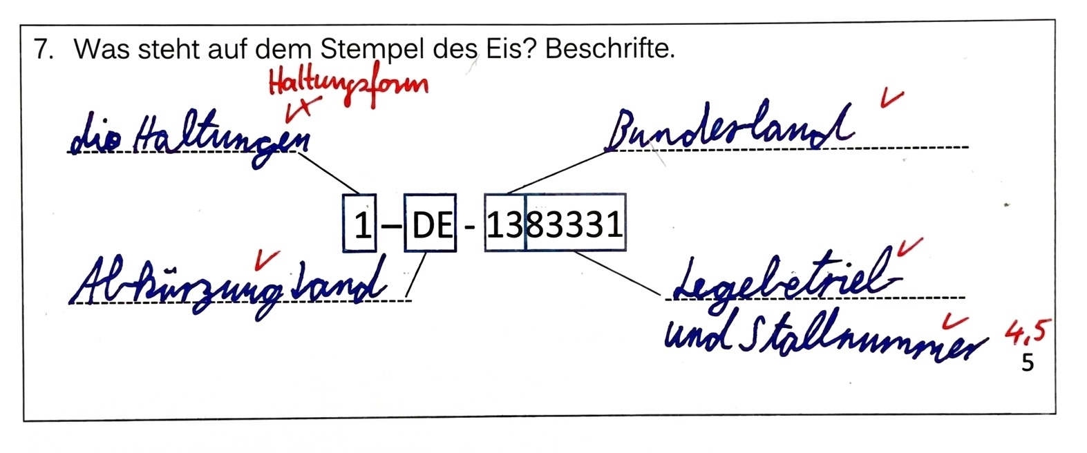 Ausschnitt aus einer Probe: Aufgabe „Was steht auf dem Stempel des Eis? Beschrifte.