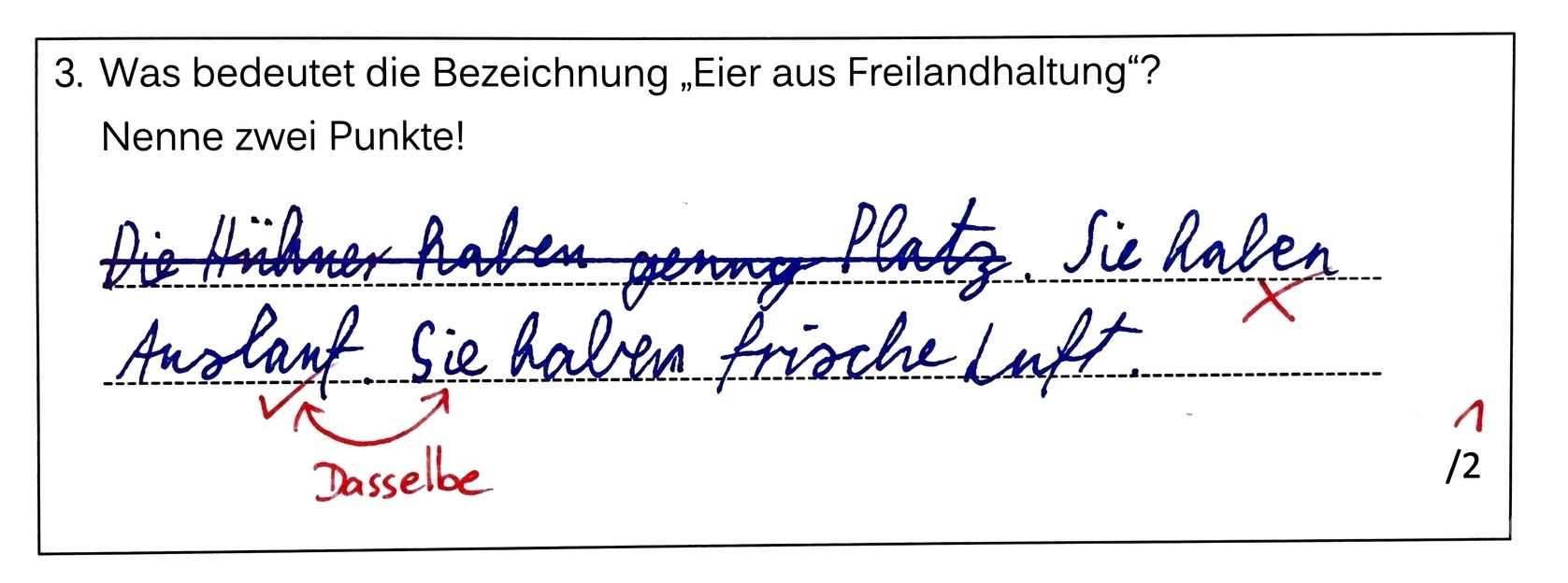 Ausschnitt aus einer Probe: Aufgabe „Was bedeutet die Bezeichnung Eier aus Freilandhaltung? Nenne zwei Punkte!