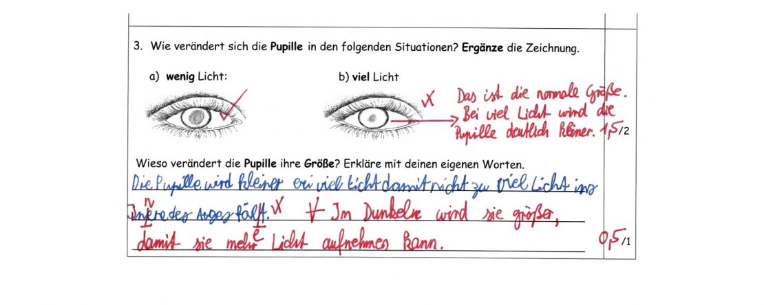 Ausschnitt aus einer Probe: Aufgabe zur Pupille bei wenig und bei viel Licht. Die Antwort des Kindes ist blau geschrieben, die Korrektur der Lehrkraft rot.
