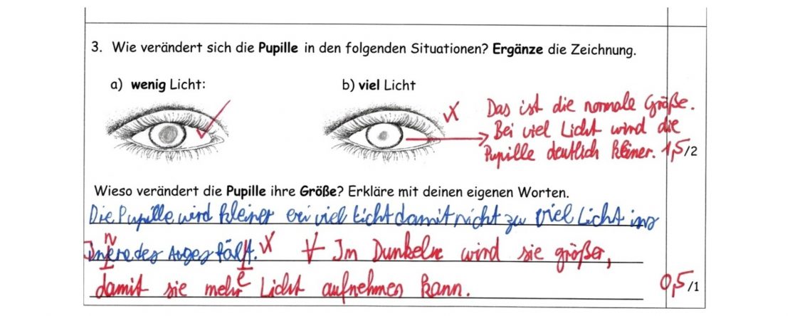 Ausschnitt aus einer Probe: Aufgabe zur Pupille bei wenig und bei viel Licht. Die Antwort des Kindes ist blau geschrieben, die Korrektur der Lehrkraft rot.